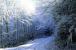 冰雪世界