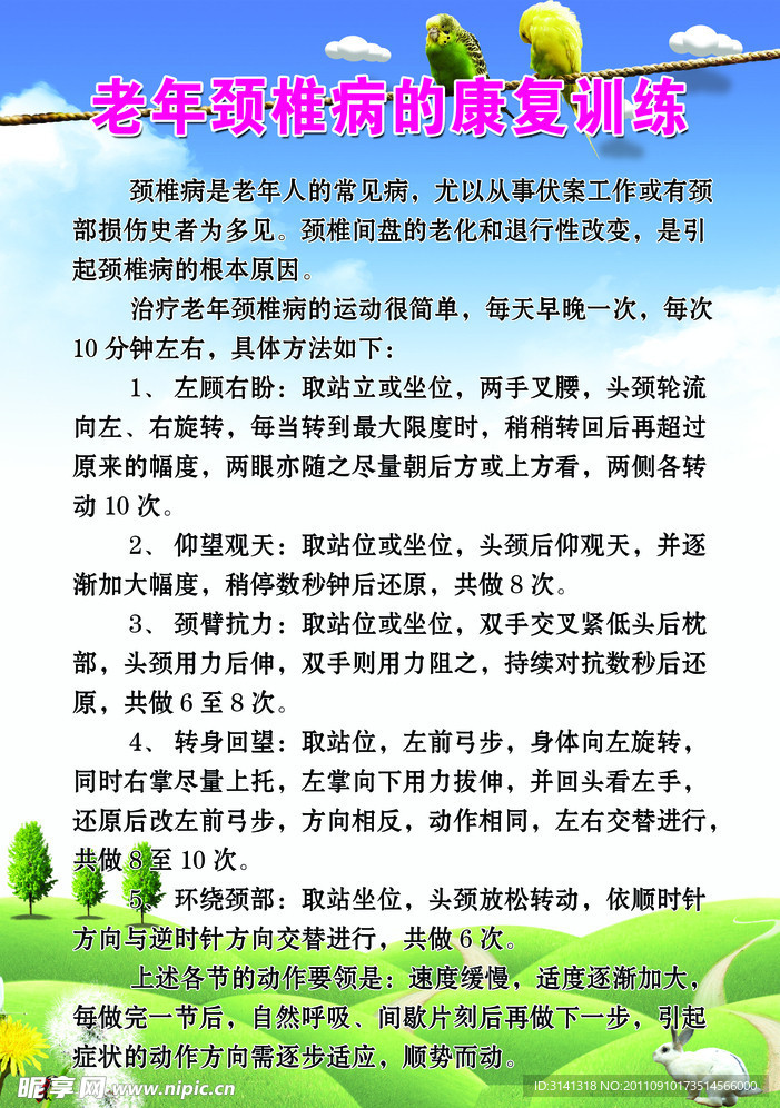 颈椎康复训练知识展板