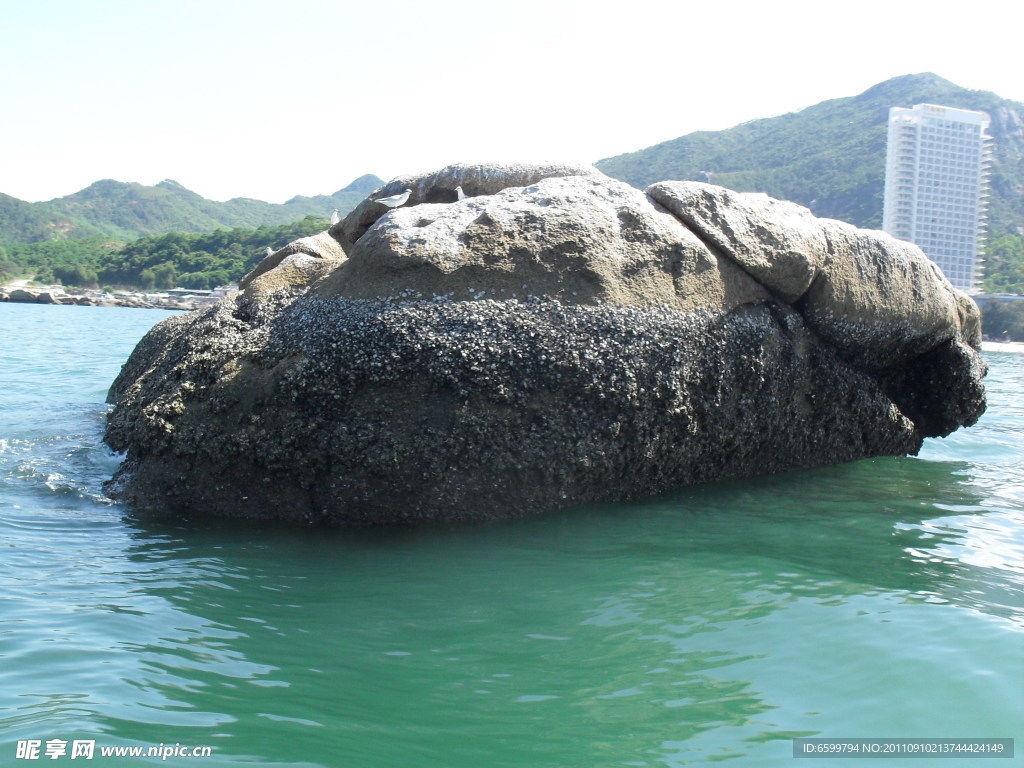 海鸥岛