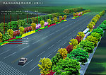 城市道路绿化