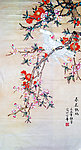 春光鹦鹉