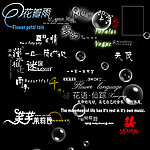婚纱文字
