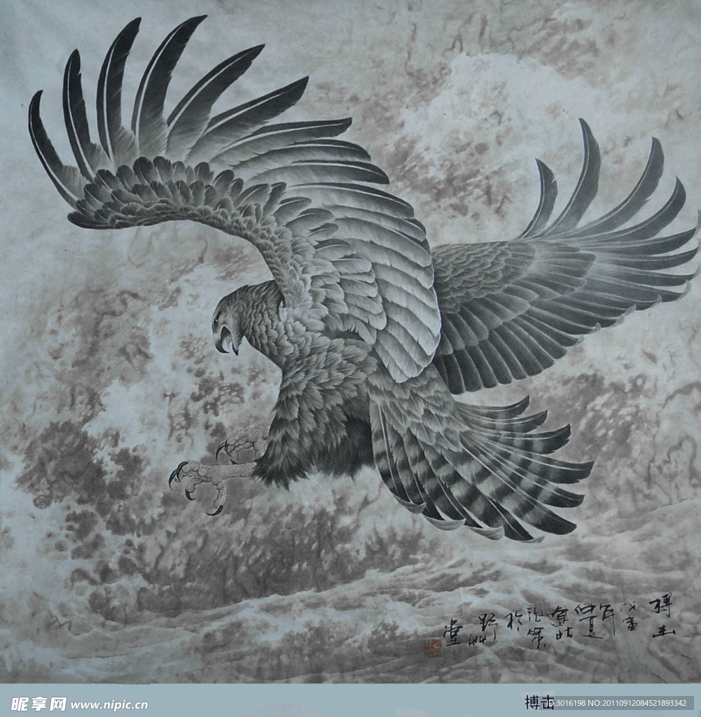 国画鹰