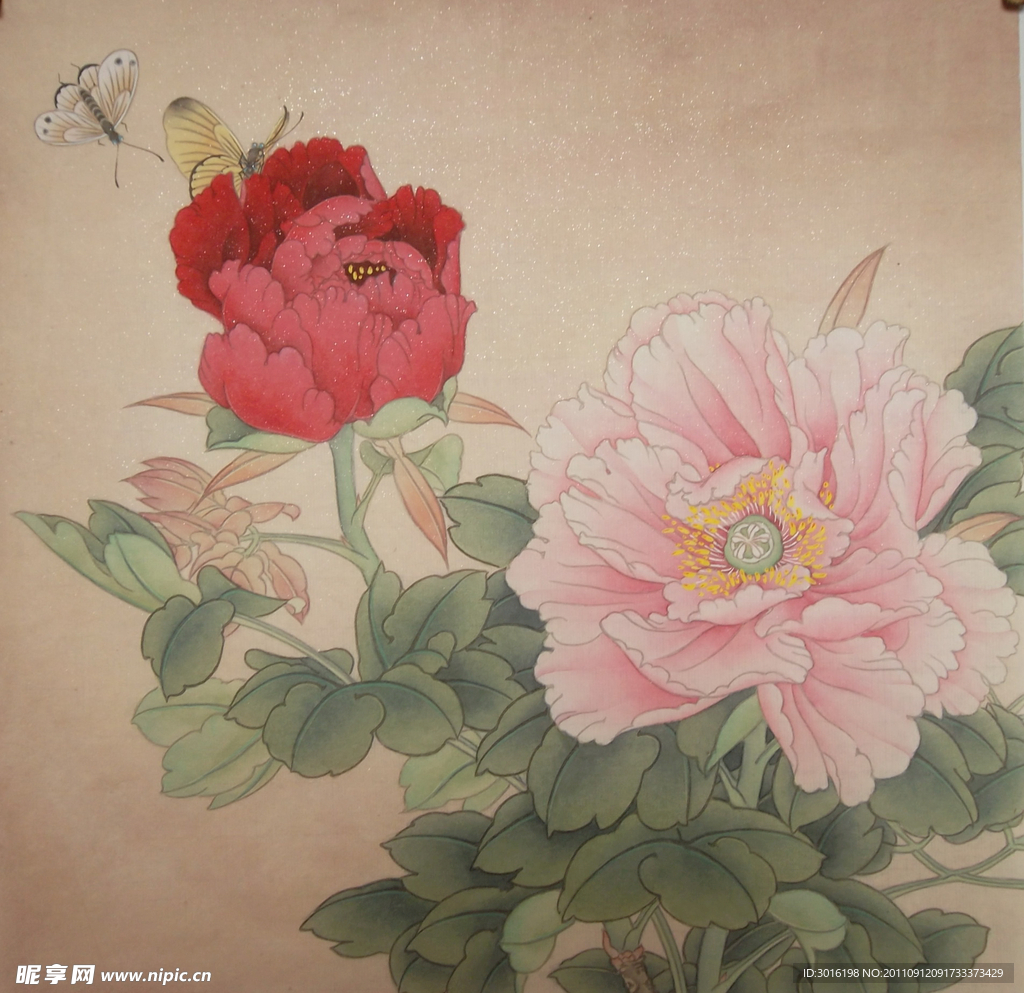 国画牡丹