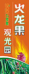 火龙果罗马球旗