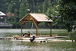 动物园湖景