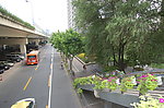上海街头游园绿地照片