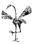 秦汉古典图案