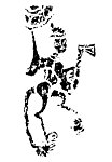秦汉时代图案