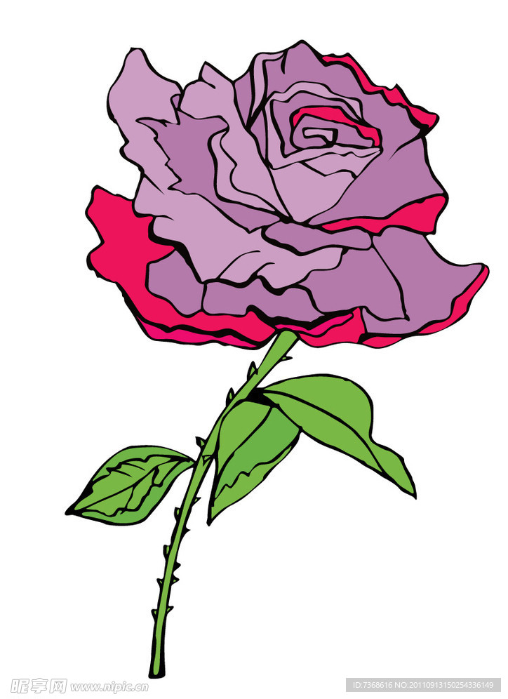 红花