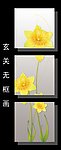 玄关装饰画