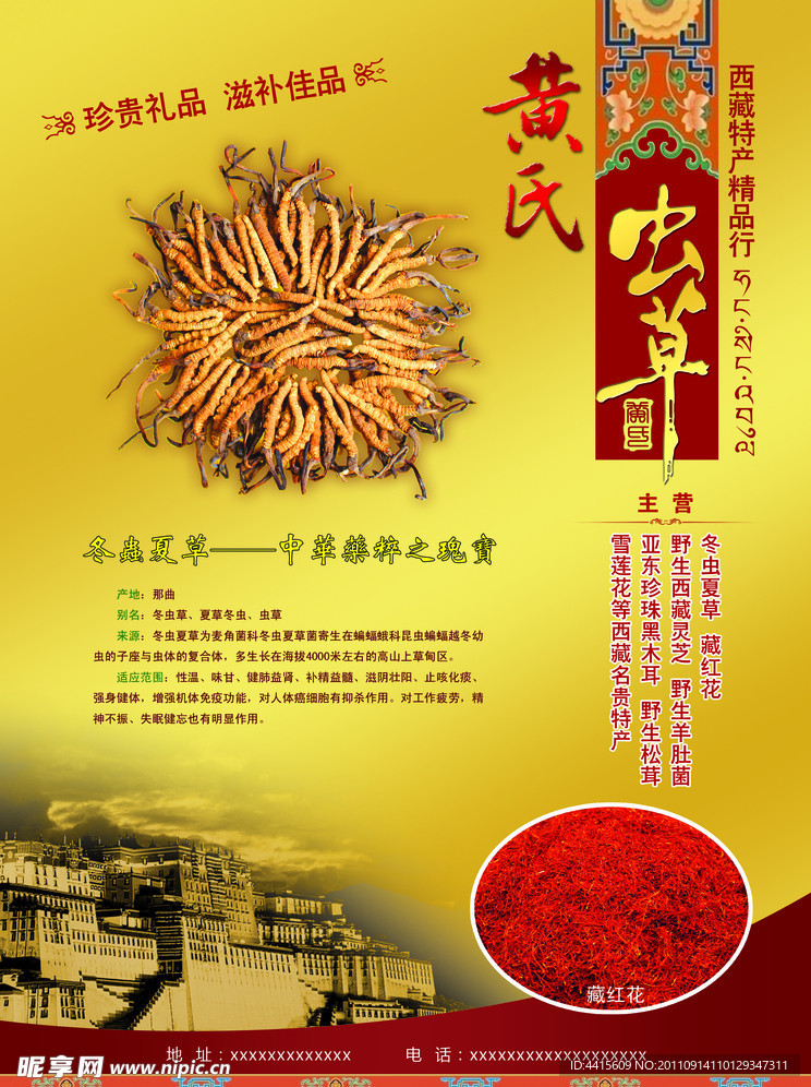 虫草海报