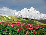雪山风景