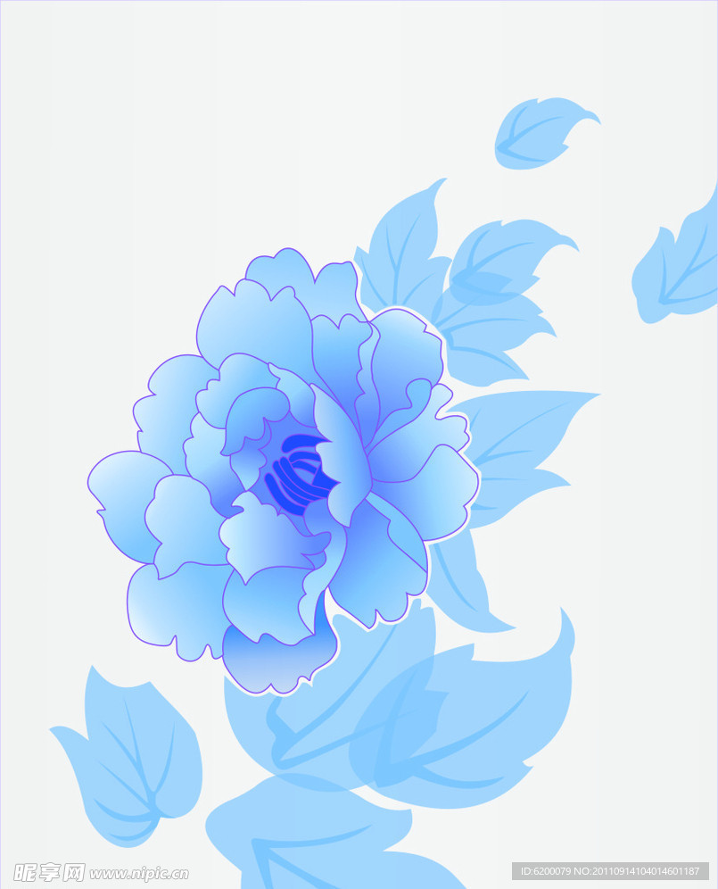 牡丹