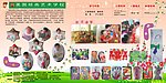 幼儿园美术班展板