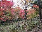 吉林风光