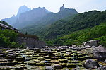 唯美风景