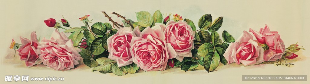 静物花卉 玫瑰花