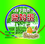柴鸡蛋