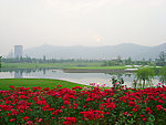 公园绿地