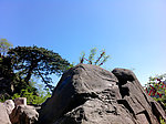 黄山风光