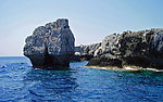 海洋