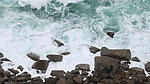 海浪
