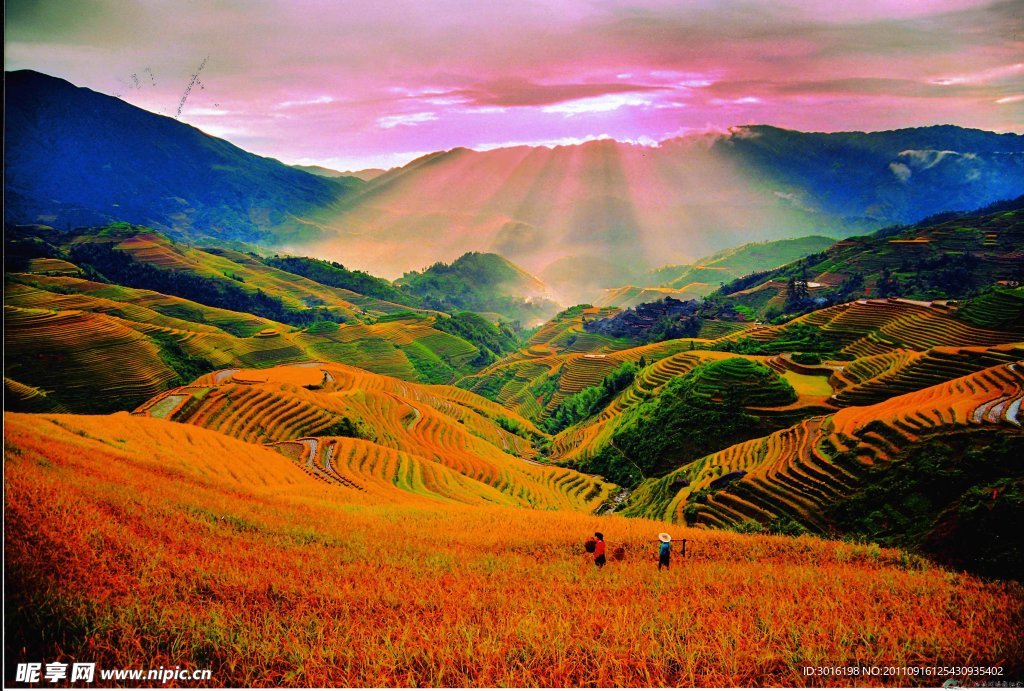 风景
