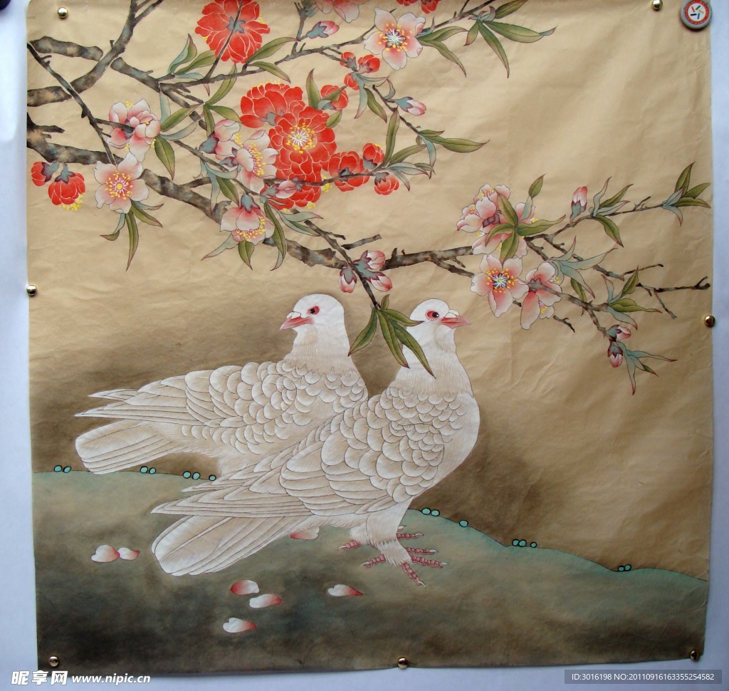 花鸟
