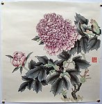 牡丹