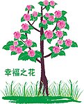 幸福之花