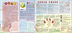 学校系列展板 语文