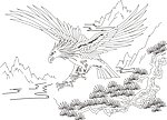 雄鹰