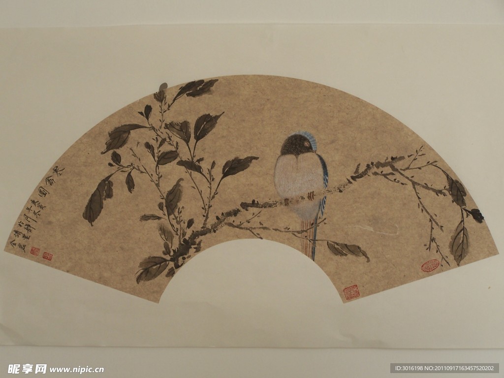 花鸟