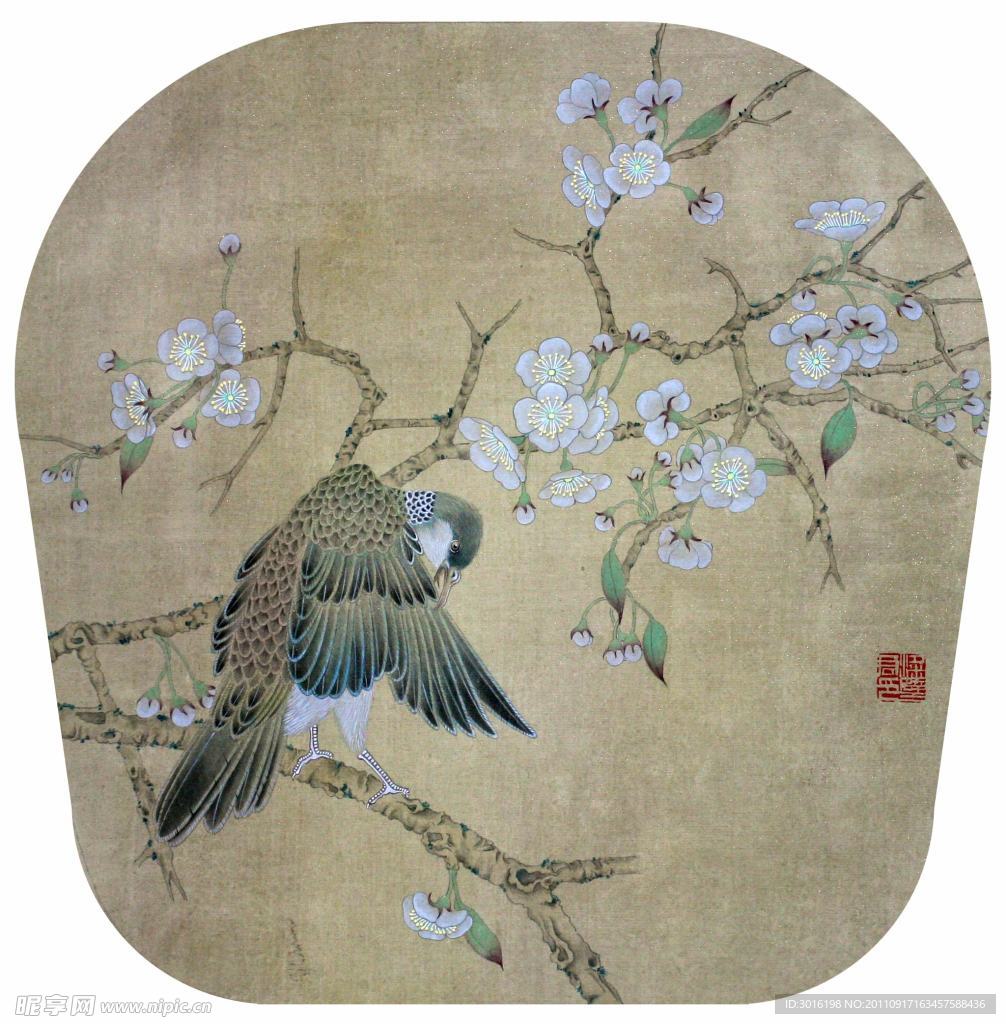 花鸟