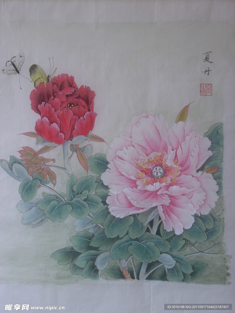 牡丹