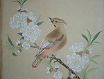 花鸟