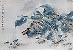 马蹄莲