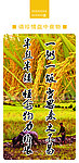 食堂展板