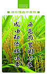 食堂展板