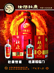 汝阳杜康DM单