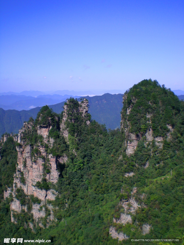 森林公园