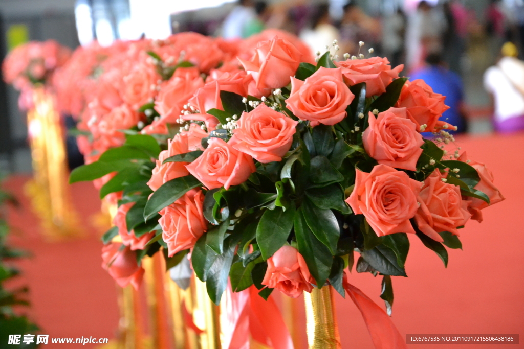 深圳会展中心珠宝展开幕式台上的玫瑰花