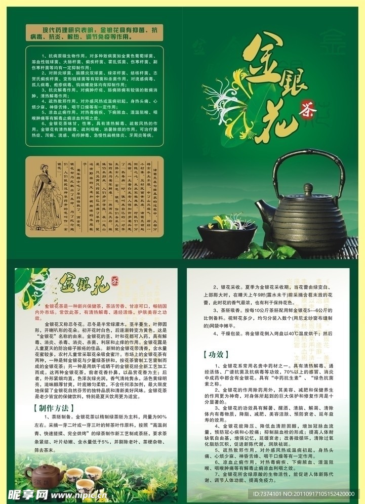 金银花茶宣传彩页