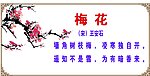 梅花