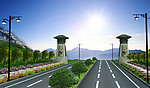 道路景观