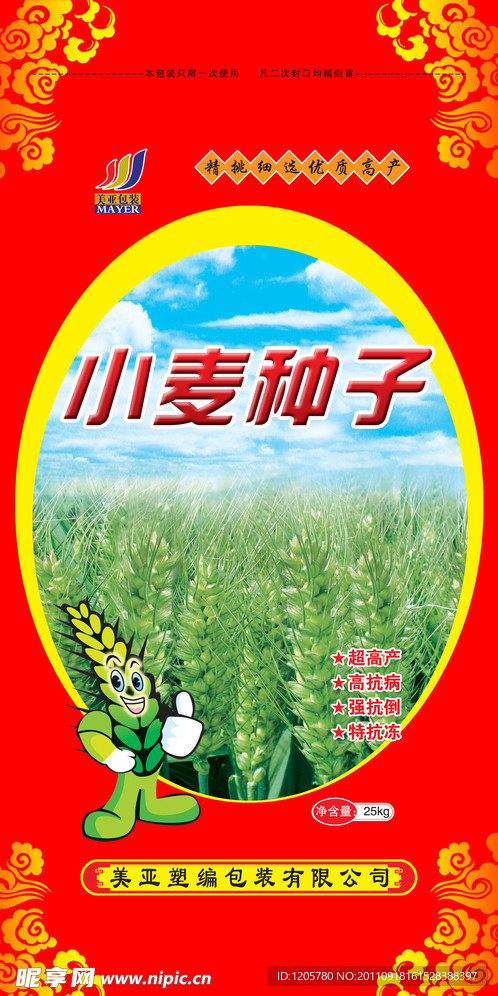 小麦种子