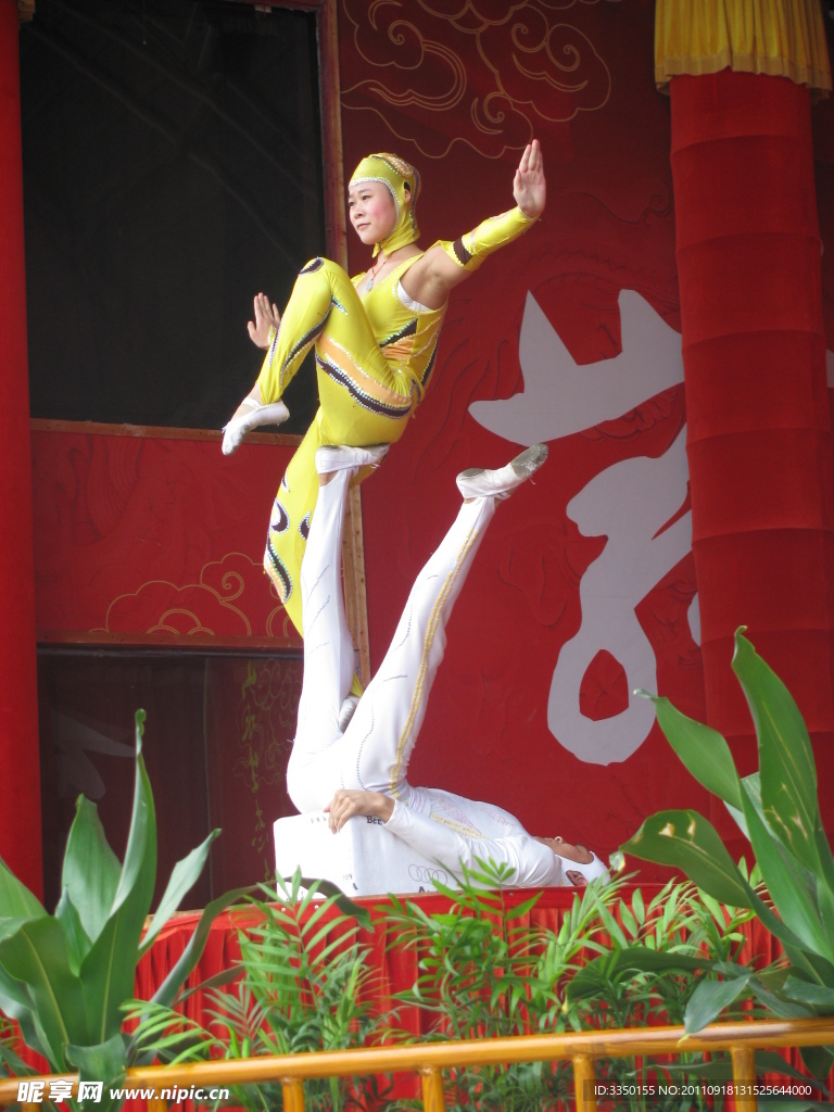 美女杂技