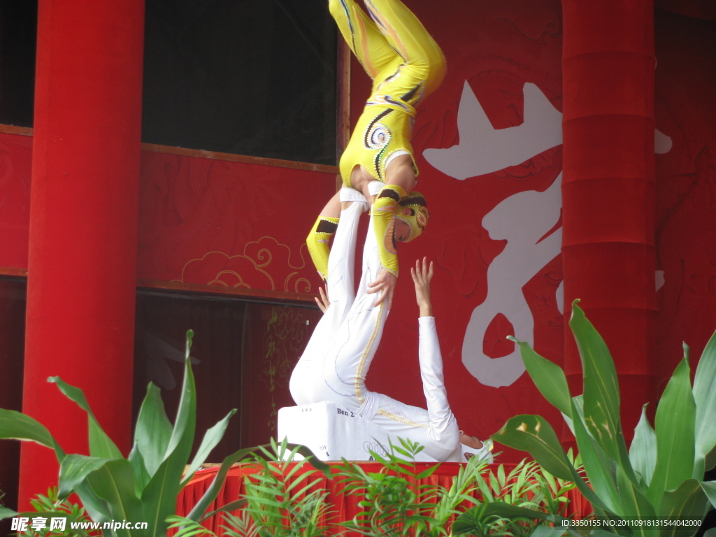 美女杂技