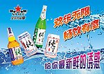 啤酒海报